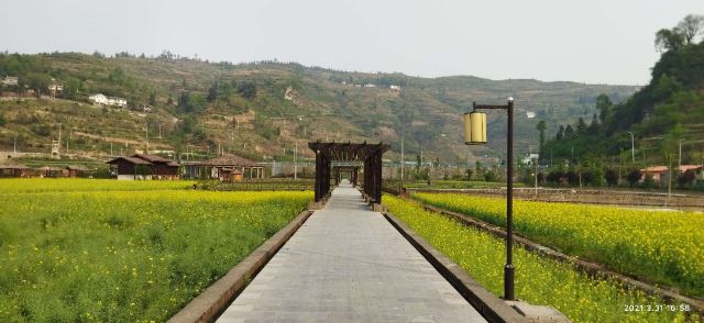 清龙十里画廊水头寨旅行图片 2