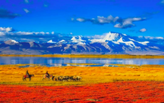 阿里游记图片] 为什么说“不到喀什，不算到新疆；不到阿里，不算到西藏”？