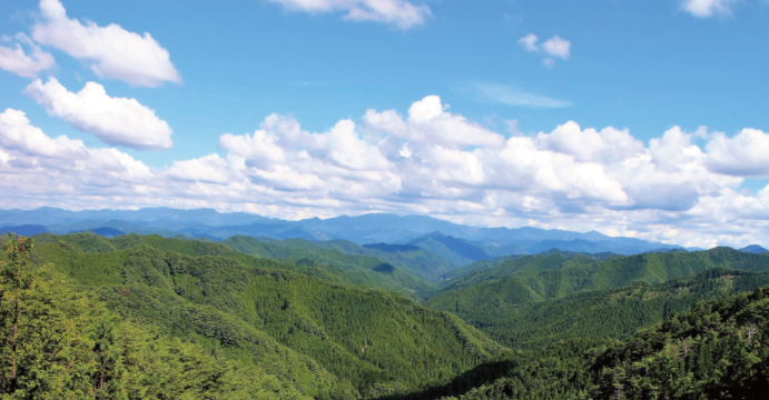 Komi Coffee餐厅图片