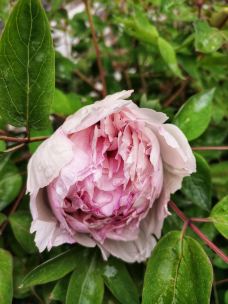 东公馆-临夏市-行走在光影深处