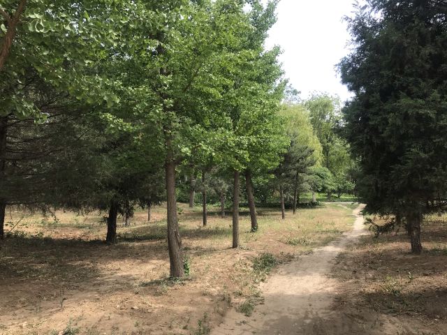 东坝公园旅行图片 5