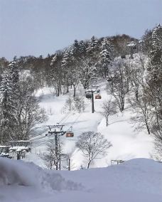 札幌-小小呆60