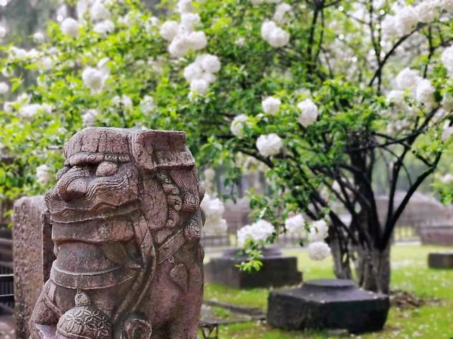 午朝门公园旅行图片 3