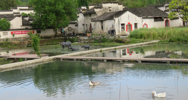 游记 穿行在长江两岸 (下集)