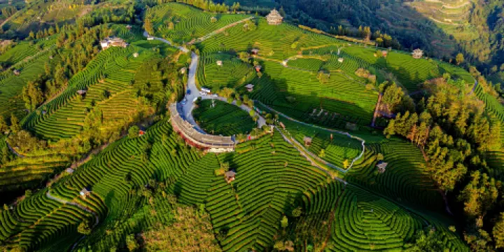 布央茶山旅遊區