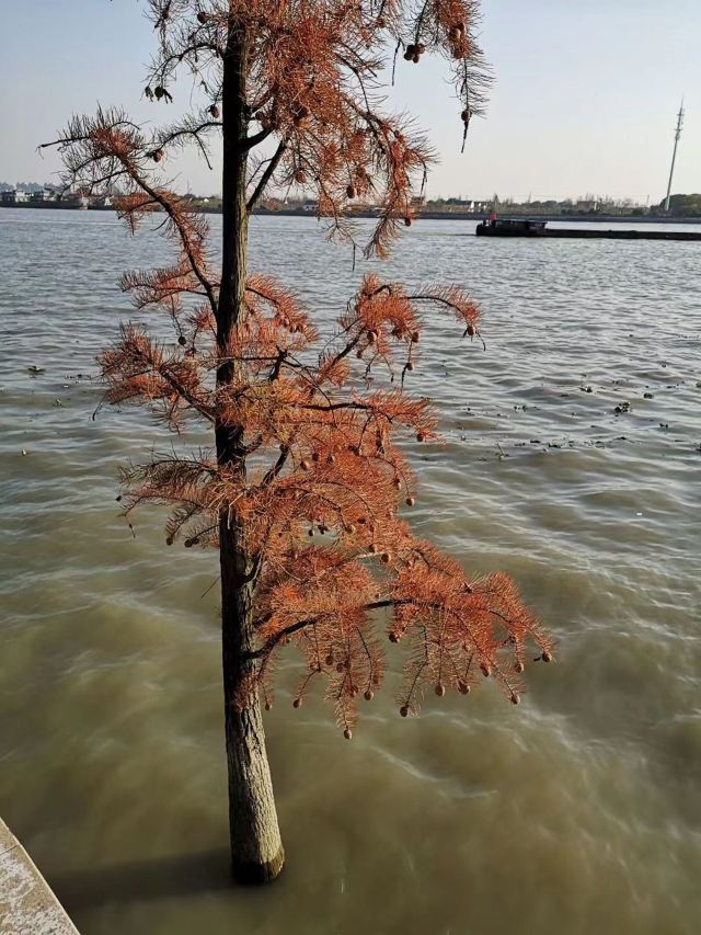 兰香湖旅行图片 3