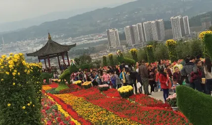 龍騰花舞風景區