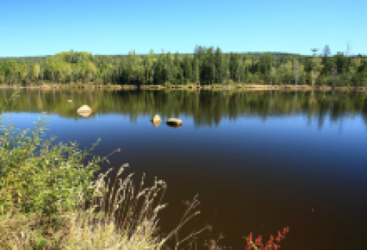 响水溪景点图片