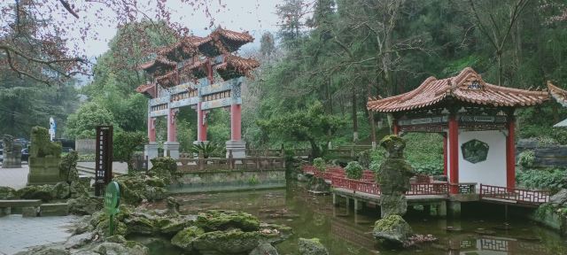 凤凰山国家森林公园旅行图片 7
