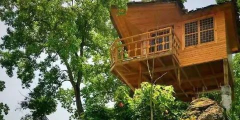 長陽向王寨生態觀光園