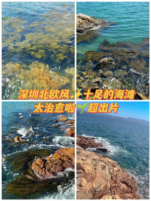 深圳北欧风十足的海滩太治愈啦超出片