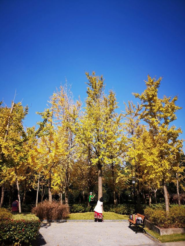 黄兴公园旅行图片 3