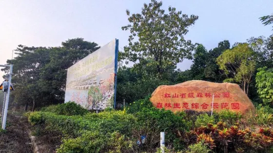 紅山森林公園