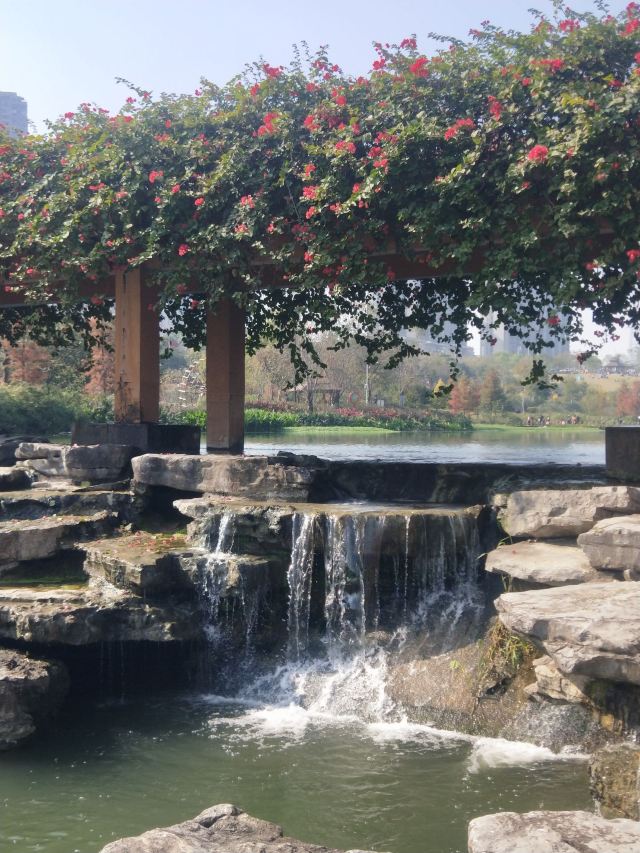 那考河湿地公园旅行图片 7