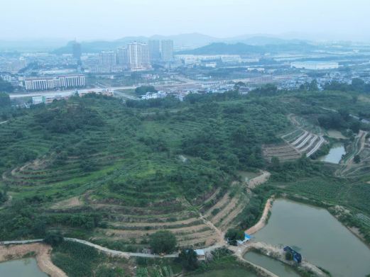 柳州市柳东百花岭