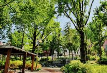 Geoyeo Park景点图片