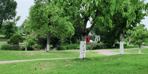 成都雲崖牧歌風景區