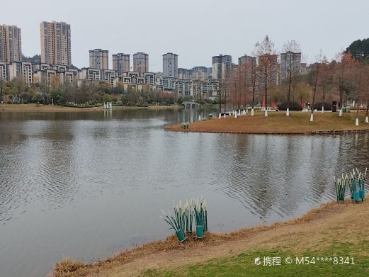 仪陇县金松湖公园