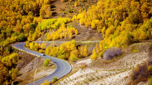黄岗梁国家森林公园