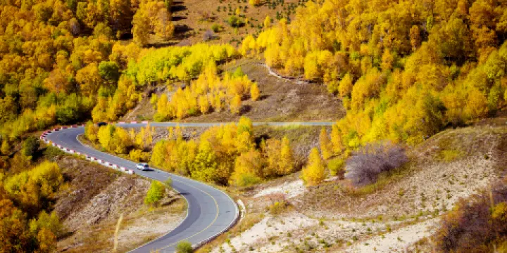 黃崗樑國家森林公園