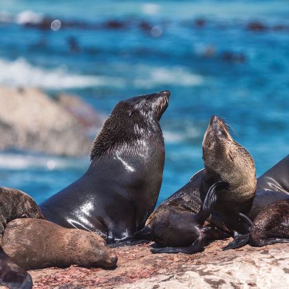 南非12日9晚跟团游