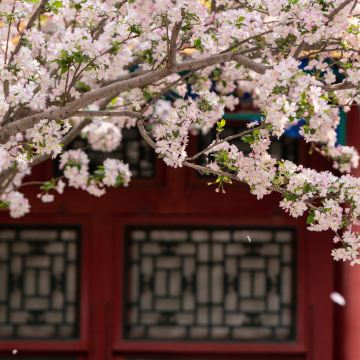 北京4日3晚自由行