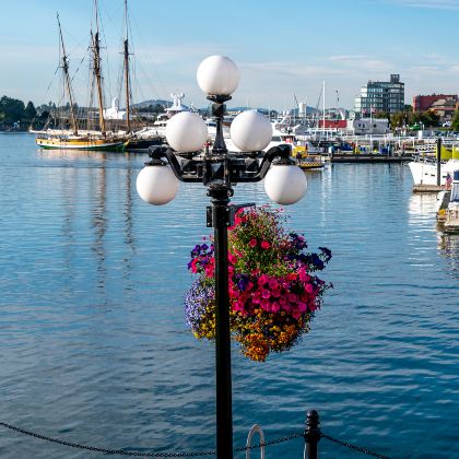 加拿大维多利亚4日3晚跟团游