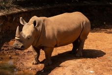 南昌动物园-南昌