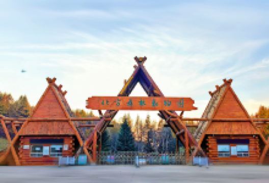 北方森林动物园景点图片