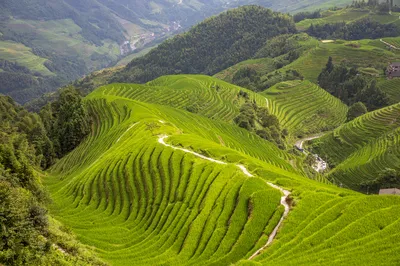 龙脊梯田风景名胜区-平安寨梯田