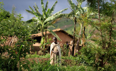 卢旺达游记图片] “千丘之国”卢旺达旅游注意事项及小众玩法