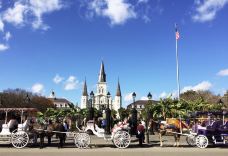 新奥尔良城市公园-新奥尔良-hiluoling