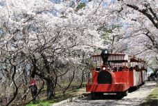 海柏公园-多伦多-hiluoling