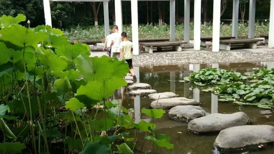雞鳴山公園-鳳翔閣