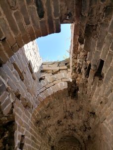 乌龙沟长城-涞源-大松树叶子