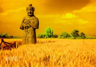 徐屹：麦田中的守望者