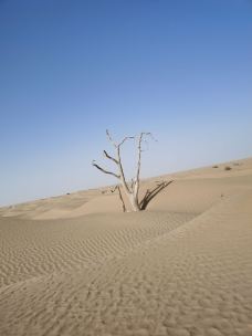 塔里木沙漠公路-且末-YoYo_5I6D6G3D