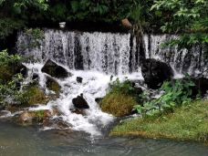 岭南小九寨-台山-池塘春草