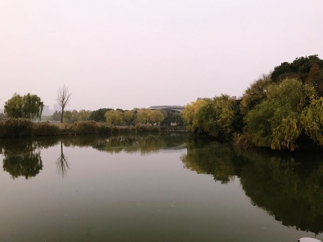 新江湾城公园旅行图片 6
