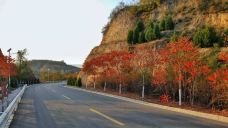 钏路湿原国立公园-标茶町-泾县慕容垂