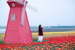 离南京市区1小时,高淳这慢城的春天也太美了,5处景点不能错过