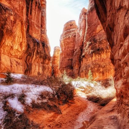 美国拉斯维加斯+盐湖城+凤凰城11日10晚私家团