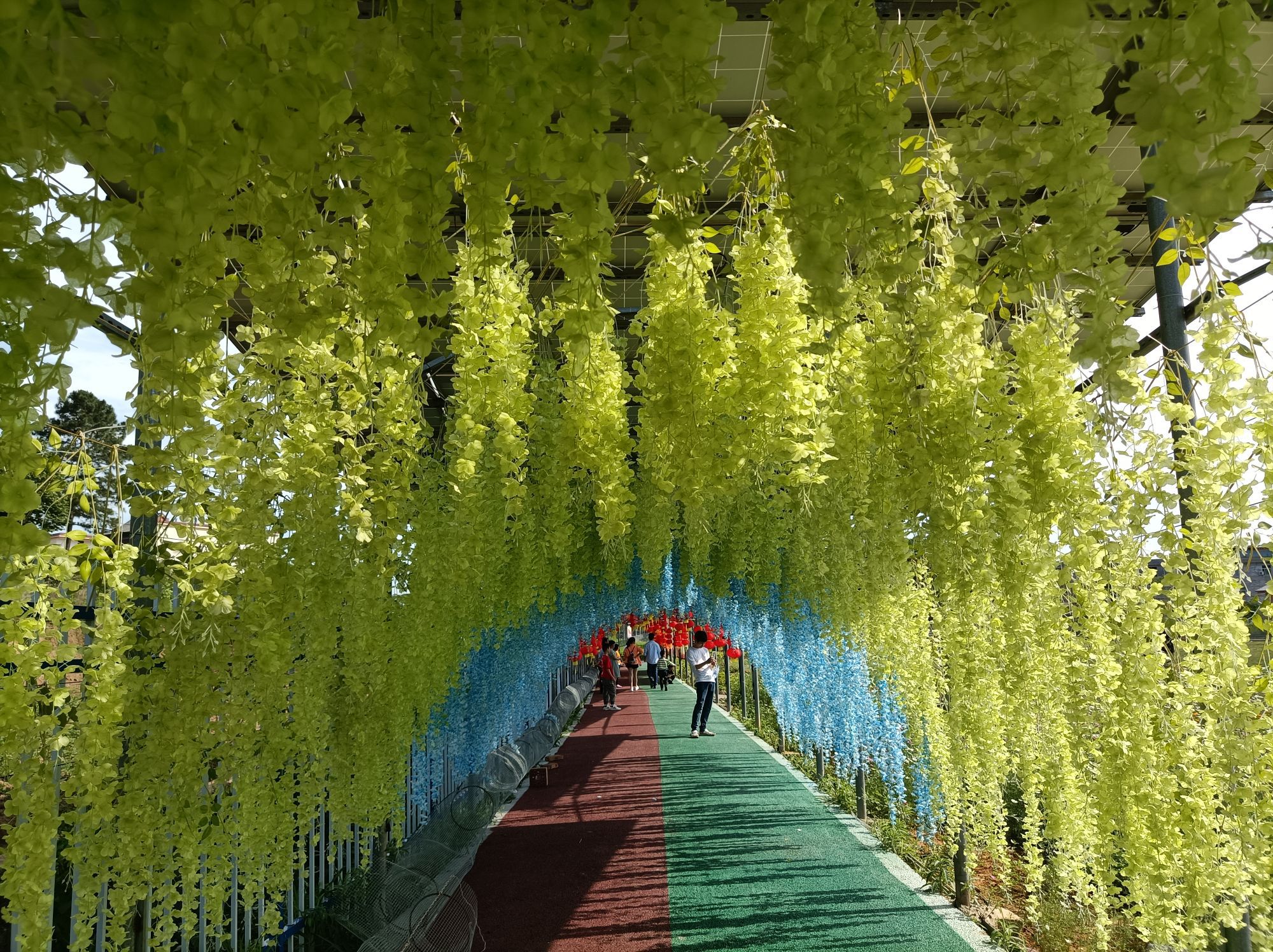 宁都县绿蕾生态农庄餐厅图片