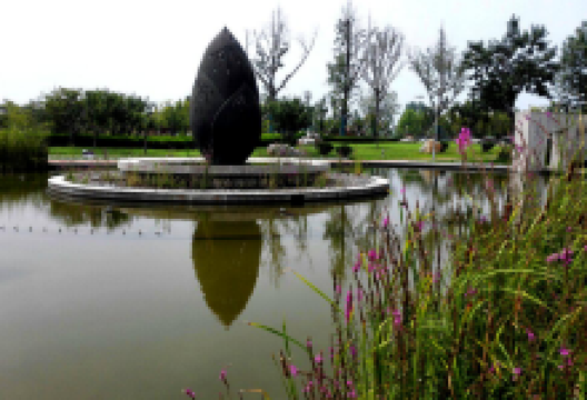 英吉沙县北湖公园景点图片