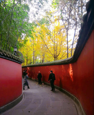 蓉城漫游，巴适得板