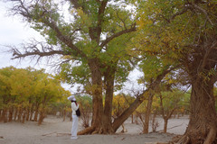 额济纳旗游记图片] 秋天的童话——2021年国庆假期额济纳自驾