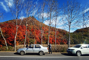 本溪县游记图文-云游四海（1558）金秋枫叶行之一——中华枫叶之路