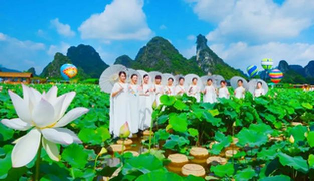 清远旅游，荷您乡约！发烧友带上相机去旅行，打卡百亩荷花塘！