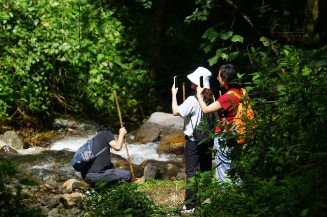 高黎贡山中坪大瀑布旅行图片 7