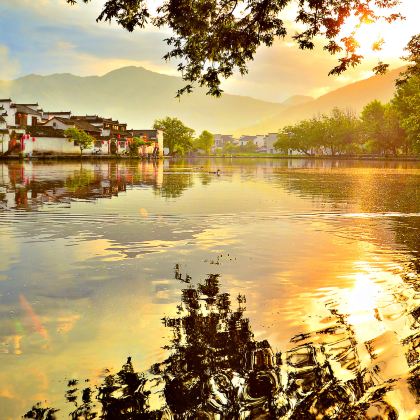 宏村半日游【经典团/16 人团|市区/北站接送+导游|纯玩】